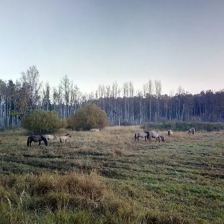 Kemeri In National Park - Free Parking * Jūrkalne