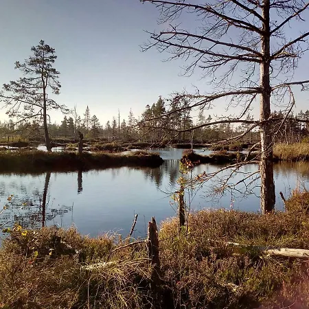 Kemeri In National Park - Free Parking * Jūrkalne