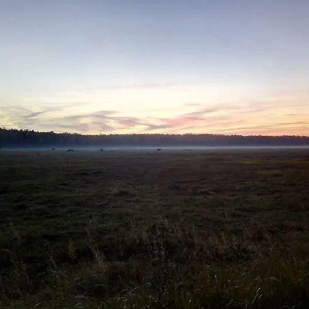 Отель Kemeri In National Park - Free Parking Юрмала
